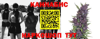 гашик Краснознаменск