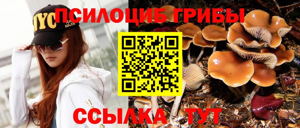 Псилоцибиновые грибы GOLDEN TEACHER Карачаевск