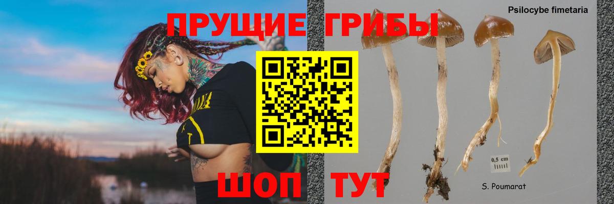 Карачаевск  Псилоцибиновые грибы GOLDEN TEACHER  Галлюциногенные грибы ЛСД  дарнет шоп  Вход с VPN 
